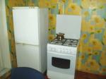 Кухня (холодильник, плита) Комната (картина) посуточно двухкомнатная Дарница в Киеве