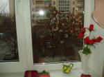 Стекление окна и вид из него Квартиры посуточно Киев Шевченковский район