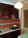 Кухня (рабочая стенка) квартиры посуточно киев соломенский район
