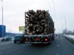Поставка дров  продам дрова колотые Киев;  купить дрова в Киеве! Доставка дров.