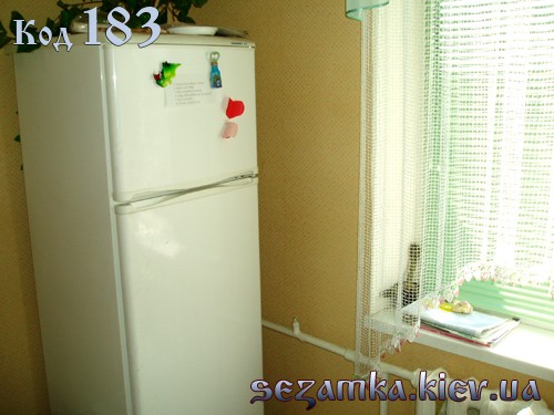 Кухня (холодильник, окно) Кухня (холодильник, окно) двухкомнатные квартиры посуточно в киеве 