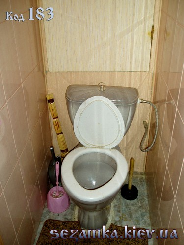 Туалет Туалет двухкомнатные квартиры посуточно в киеве 