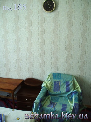 Зал (кресло, часы) Зал (кресло, часы) посуточно двухкомнатная Дарница в Киеве 