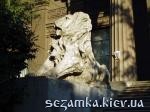Скульптура льва возле входа в музей Музей Украинского изобразительного искусства  Достопримечательности Киева - Музеи, выставки, парки  (40)