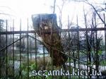 Тыльная сторона завода Арсенал (стадион Арсенал) Дерево и забор  Приколы - Двор, окрестности  (89)