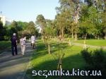 Алея юнных Сакур Парк Киото  Достопримечательности Киева - Музеи, выставки, парки  (40)